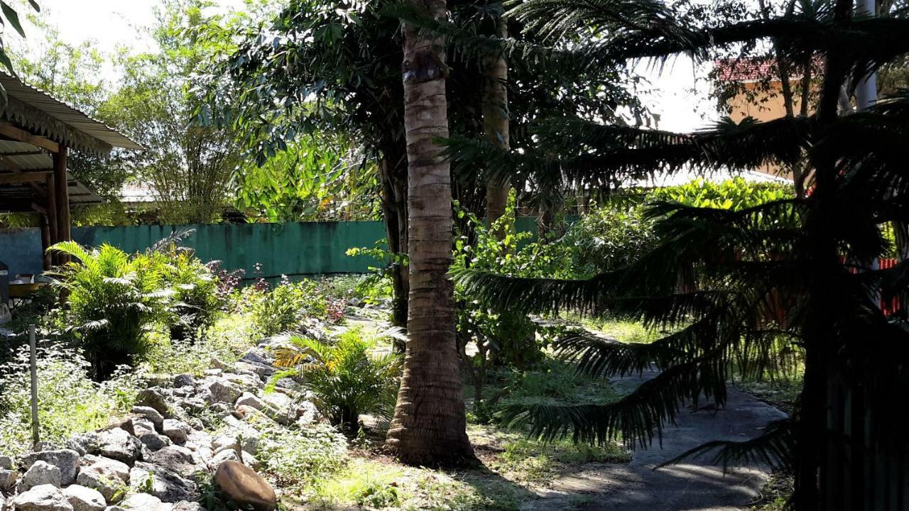 Sabandy Guesthouse Kuah Exterior foto